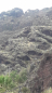 20210721_115829-scaled