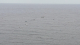 20210721_121331-scaled