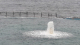 20210721_123158-scaled