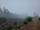 k-20241021_135411