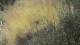 IMG-20210630-WA0005