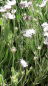 IMG-20210630-WA0007