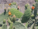 k-20220704_121418