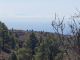 k-20220704_121857