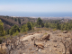 k-20220704_122541
