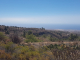 k-20220704_123139