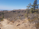 k-20220704_123152