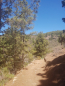 k-20220704_124215