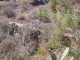 k-20220704_124736