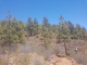 k-20220704_132215
