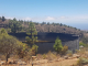 k-20220704_133458