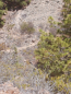 k-20220704_134047