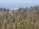k-20220704_141013