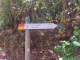 IMG-20220805-WA0014