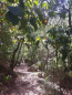 IMG-20220805-WA0015