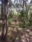 IMG-20220805-WA0016