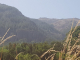 IMG-20220805-WA0018