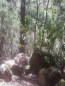 IMG-20220805-WA0020
