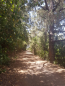 IMG-20220805-WA0021