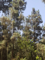 IMG-20220805-WA0022