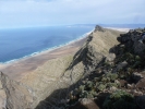 zarza_4