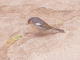 k-IMG-20220602-WA0009