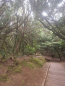 k-IMG-20220602-WA0011